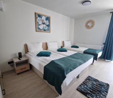 Constanta House | Sunny Family Vila Constanta