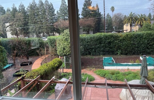 Walnut Creek House | Sunny One Bedroom In-law Walking Distance to Public Transit