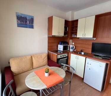 Samokov Apartment | Sunny studio, Eagle Rock