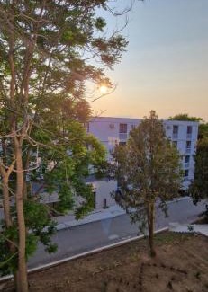 Jibert Apartment | Sunny Studio