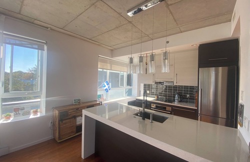 De Lorimier Condo | Sunny & Zen Penthouse, Plateau Mt-Royal, indoor parking, elevators