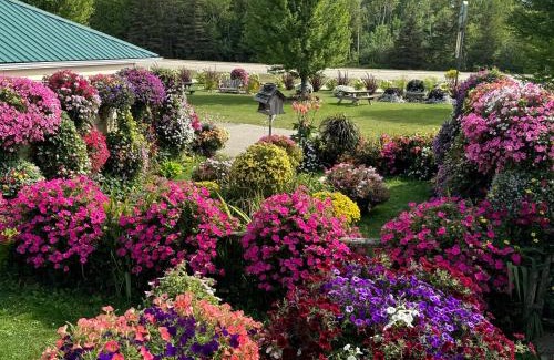 St Ignace Hotel | Sunset Motel at Armand's Gardens