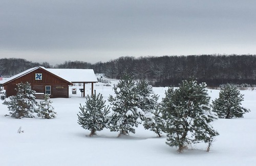 Willard Cabin | Sunset Pines Resort