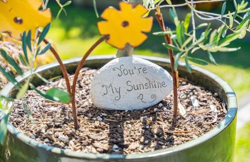 Taupo House | Sunshine Cottage