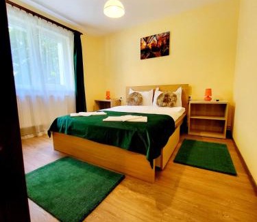 Sinaia Apartment | Sunshine