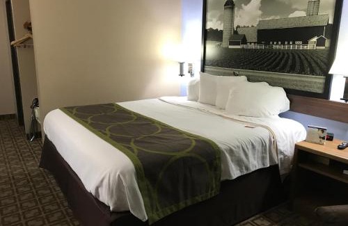West Omaha Hotel | Super 8 by Wyndham Omaha/West Dodge
