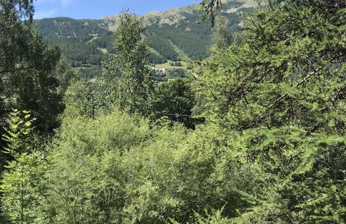 Allos Ski Chalet | Super Allos Chalet apartment (sleeps 6 + 2 extra beds)