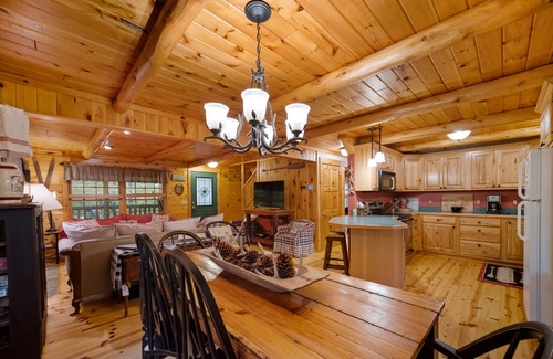 Alanson Cabin | Super Cozy, A/C, steps from trails, kid friendly