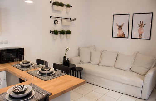 Athens City Centre Apartment | Super Stylish Apartments in Syntagma Square