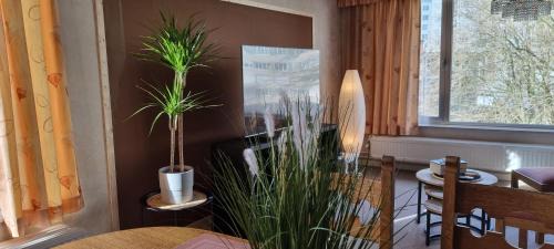 Antwerp Apartment | SUPERB FLAT WITH 3 BEDROOMS PARKING AND BALCONy