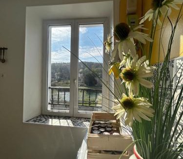 Bogny-sur-Meuse Apartment | Superbe appart rénové vue sur Meuse Le Chic dans le pré
