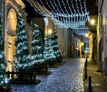 Belleme Apartment | Superbe duplex, Centre historique, 5 personnes