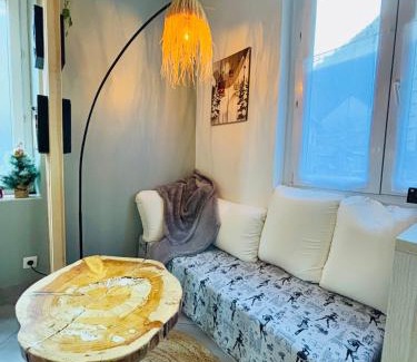 Bagneres-de-Luchon Apartment | Superbe duplex climatisé avec jardin classé 3 étoiles 2 à 4 pers