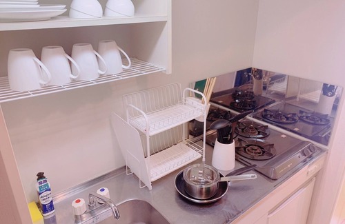 Hakata-ku Apartment | Superior 1105 - Superior 1105/Fukuoka Fukuoka