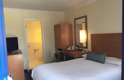 Cow Hollow Hotel | Surf Motel
