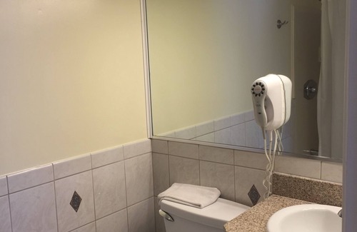 Cow Hollow Hotel | Surf Motel
