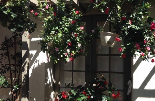 San Marcos House | Surf & Turf Condo to yourself