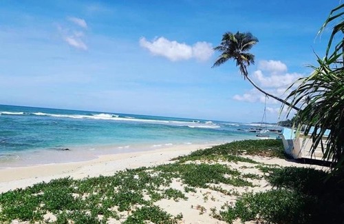 Polhena Apartment | Surfe lodge