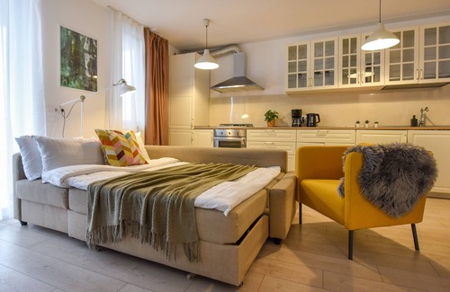 Aviatiei Apartment | Surpresa