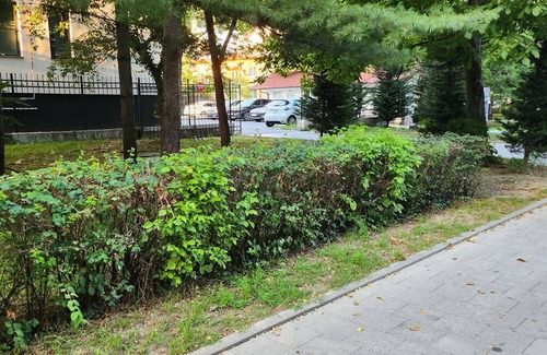 Telese Apartment | Surrounded by olive, oak and pine trees with panoramic views