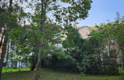 Telese Apartment | Surrounded by olive, oak and pine trees with panoramic views