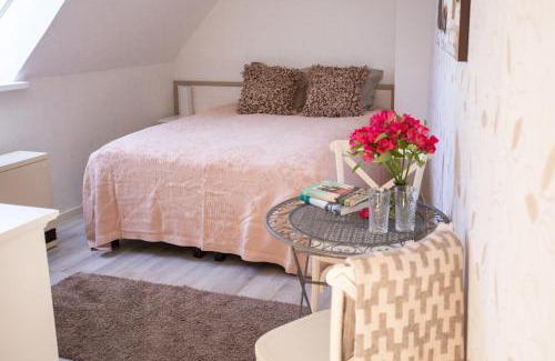 Kuressaare House | Suviste Guesthouse