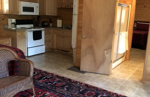 Branford Cabin | 'Suwannee River Tranquility' from $180/Night for 4 People!'