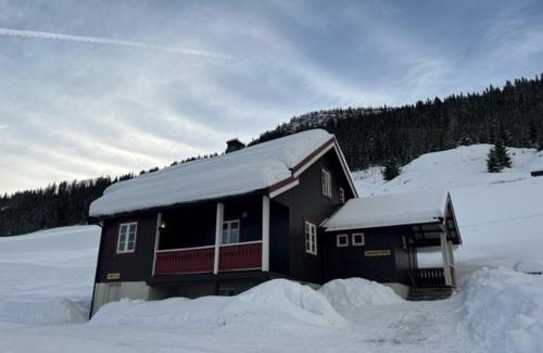 Al House | Svarteberg Drengestugu - cabin by Ål skisenter