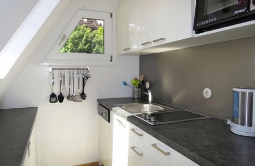 Wilhelmsdorf House | Svea by Interhome