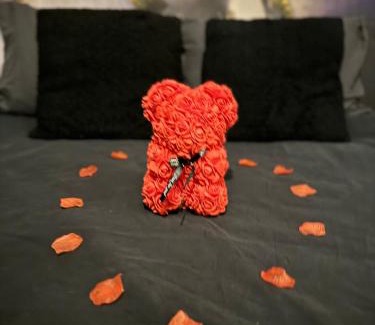 Bruz Apartment | SWEET ANGEL Suite romantique avec SPA