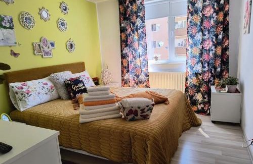 Tractorul Apartment | Sweet Butterflies Residence