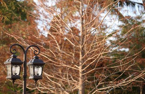 Ji'an Bed & Breakfast | Sweet Heart B&B