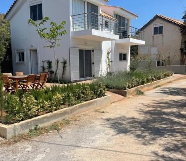 Lavreotiki Villa | Swim on a private beach