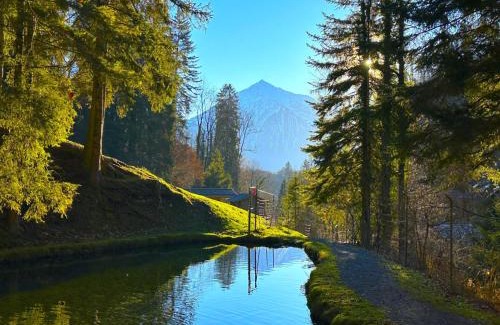 Sigriswil House | SwissHut Idyllic Farm Cabin - Chalet Grabenmuhle 2