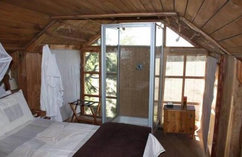 Mooirivier House | Sycamore Avenue Treehouses