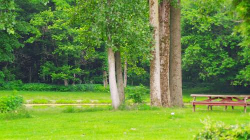 Brookston Other | Sycamore Springs Farm on Springboro