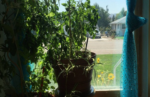 Pocatello House | Synchrodestiny 1 is joyful with a beautiful Mountain View from front yard