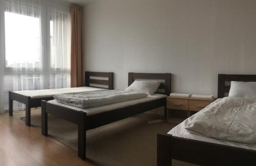 Szombathely Apartment | Szelestey utcai apartman (Szombathely)