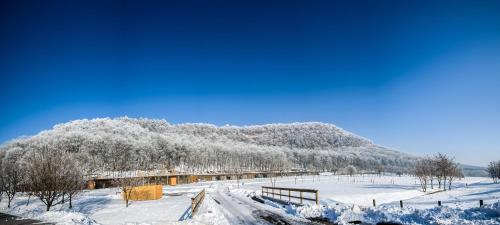 Matraverebely Hotel | Szentkút Pilgrim Center