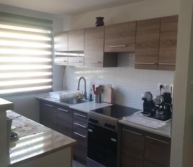 Vasarosnameny House | SZERETET FA-HÁZ VÁSÁROSNAMÉNY GERGELYIUGORNYA