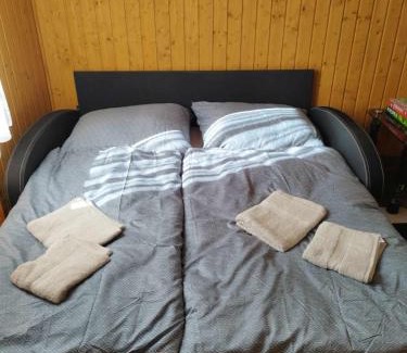 Gyoparosfuerdo Apartment | Tópart Vendégház