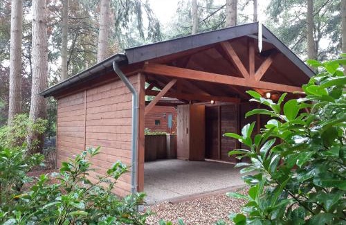 Krachtighuizen Ski Chalet | t'Bakkersboschje nummer 5