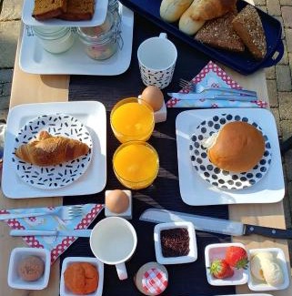 Uddel Bed & Breakfast | 't Rheebokje