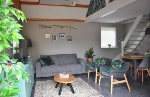 Burgh-Haamstede House | 't Schouws Uusje