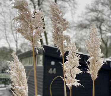 Hattemerbroek Ski Chalet | 'T Veluwse Boshuus chalet 44