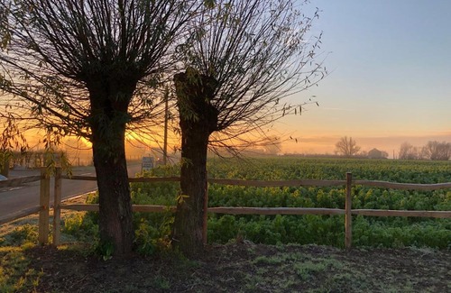 Nieuwkerke Bed & Breakfast | 'T Wolvennest