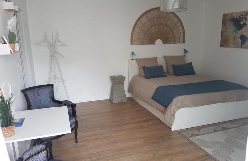 Agen Apartment | T1 Bis - centre historique-très calme-terrasse