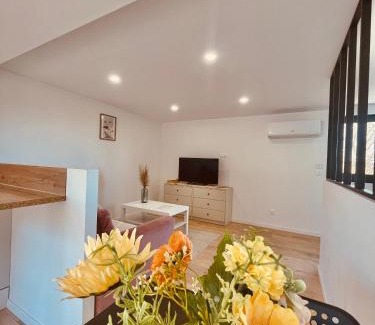 Auch Apartment | T1 bis rénové au centre d’Auch