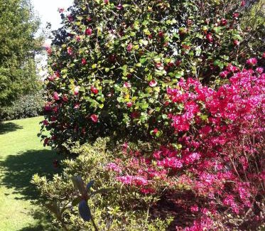Anglet Apartment | T1 ou T2 dans villa avec jardin proche Biarritz