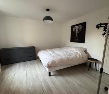 Cordes-sur-Ciel Apartment | T2 élégant au cœur de Cordes